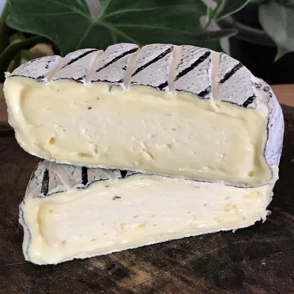 Queijo Lua Cheia Serra das Antas – Premiado – Super Ouro