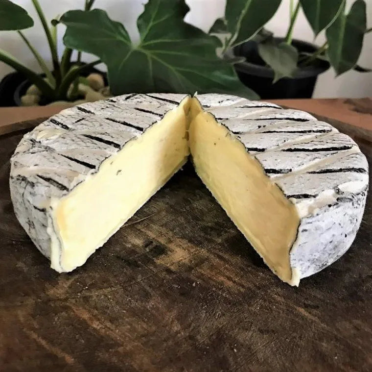 Queijo Lua Cheia Serra das Antas – Premiado – Super Ouro