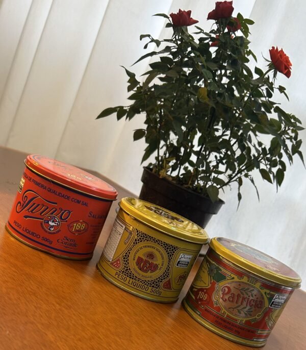 Kit 3 Manteigas 500g (Real + Turvo + Patricia)